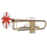 BrassCover fr Blasinstrumente SCHLEIFE